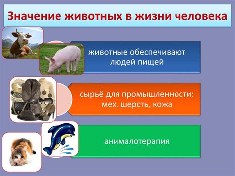 Звери и их влияние на человека в литературе и жизни