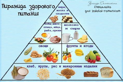 Здоровое питание и его роль для организма