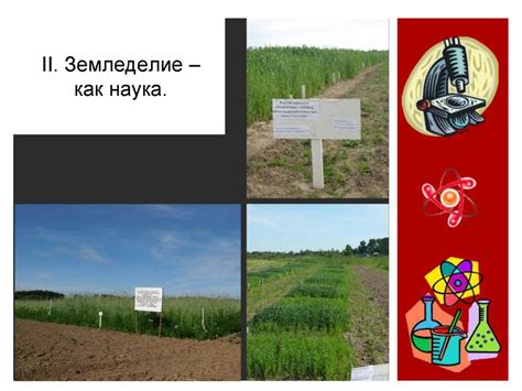 Земледелие, как наука: наличие биологического союза между культурами