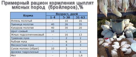 Зима: особенности кормления