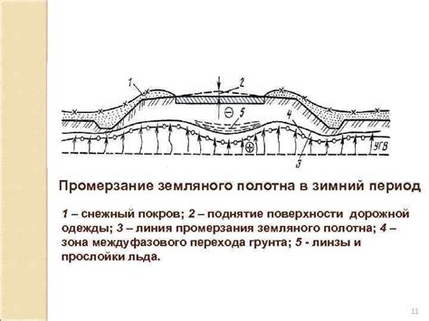 Зимний период: холод и промерзание воды
