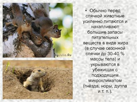 Зимний сон и спячка у раков
