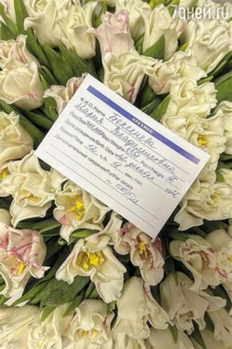 Знакомство с долгожданной радостью