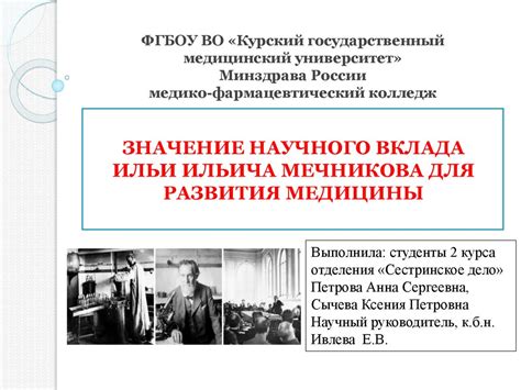 Значение "Смешариков" для современной культуры
