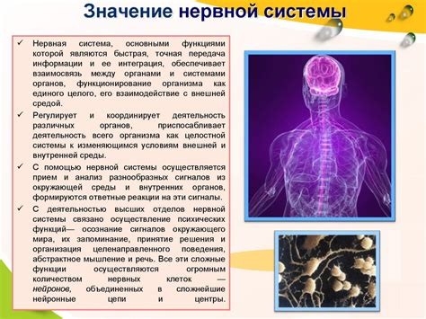 Значение для организма