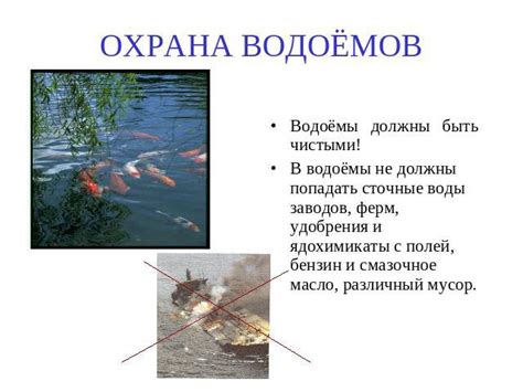 Значение описторхоза для экологии водоемов
