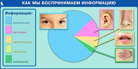 Значение прозрачных выделений для восприятия информации