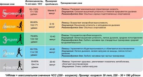 Значение пульса после физической нагрузки