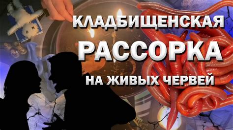 Значение термина "кладбищенская рассорка"