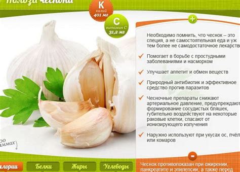 Значение чеснока для общего здоровья