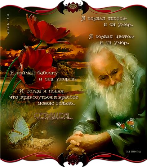 Значимость Дня мудрых и молодых
