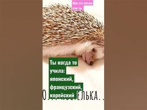 Идеальное время для снятия