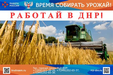 Идеальное время сбора урожая