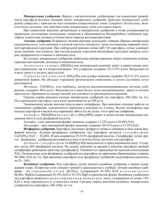 Идеальное соотношение соли и картофеля