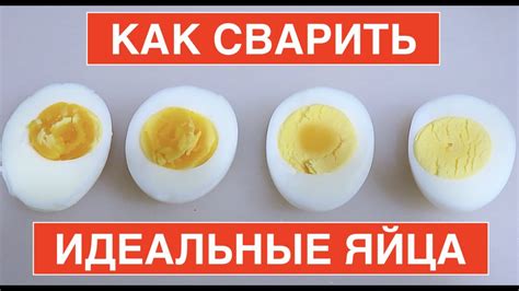 Идеальные пропорции ингредиентов для варки пикшевого супа