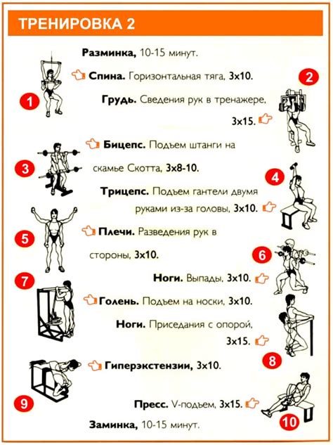 Идеальный график тренировок
