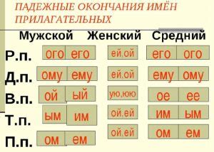 Изменение падежных окончаний с мягким знаком