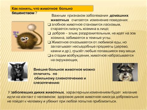 Изменение поведения домашних животных