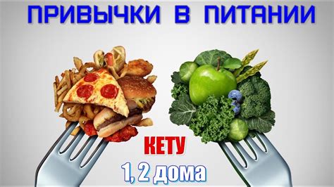 Изменение предпочтений в питании и стиль жизни