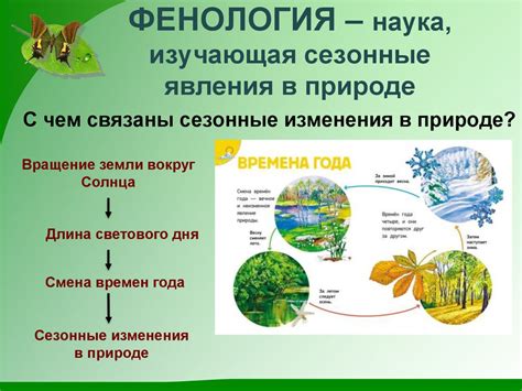 Изменения в жизни самого Феликса