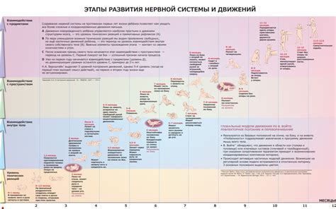 Изначальные этапы развития