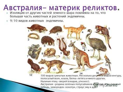 Изоляция от других животных