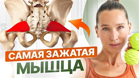 Из таза в живот