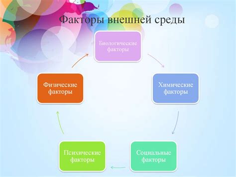 Ингредиенты и их воздействие на организм