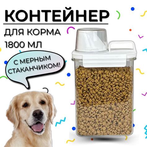 Ингредиенты кошачьего корма и их влияние на собаку