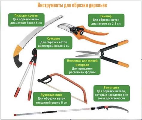 Инструменты, необходимые для обрезки флоксов
