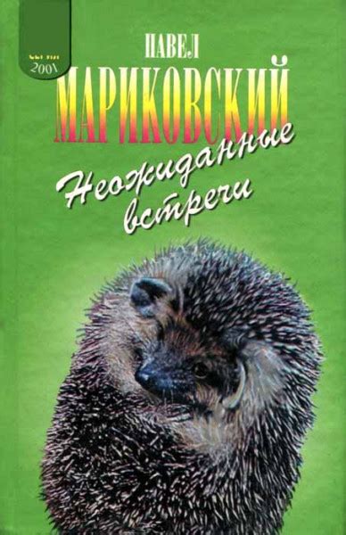 Интересные истории русских на отдыхе: неожиданные встречи
