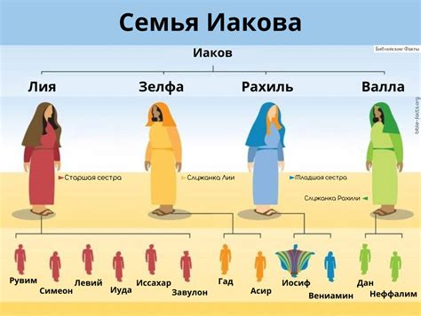 Интересные факты о возрасте Иакова при рождении