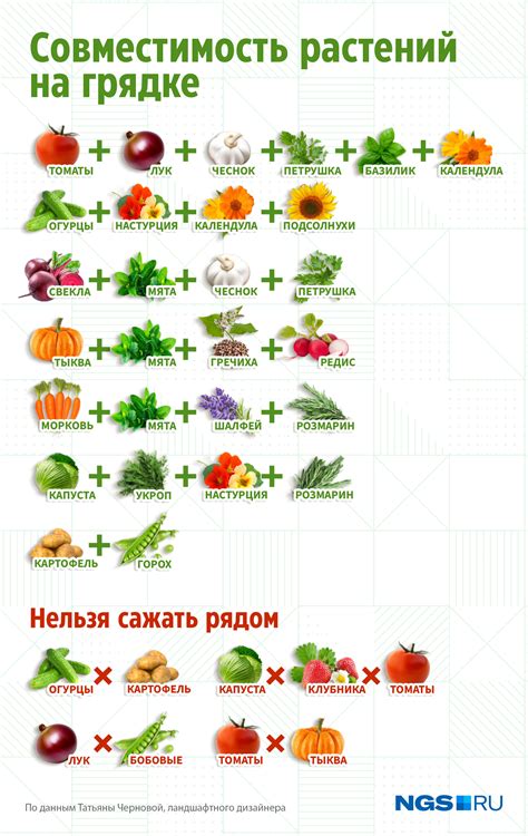 Исплатить можно на Гриндвальдс