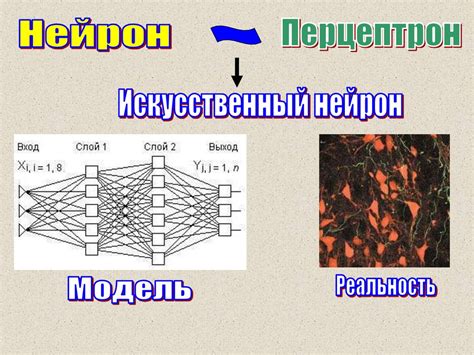Использование искусственных нейронных сетей