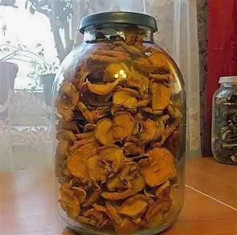 Использование сушеных лисичек в кулинарии