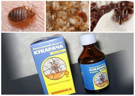 Используйте специальные средства защиты от клопов