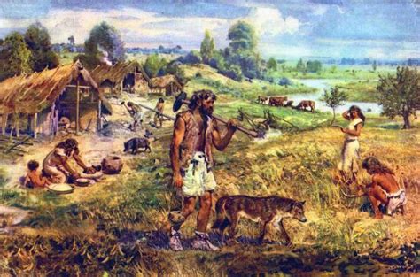 История земледелия: открытие новой эры