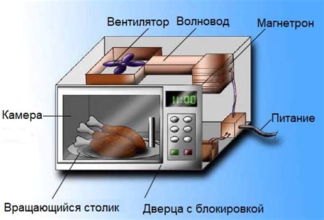 История и принцип действия микроволновой печи