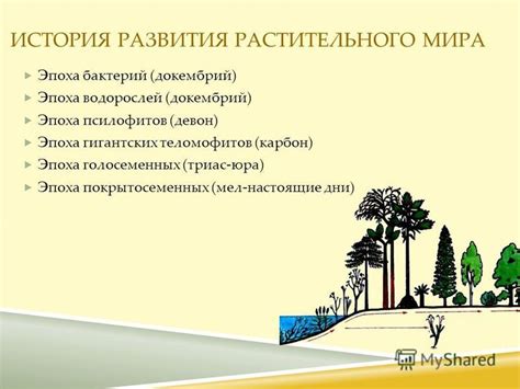 История открытия псилофитов