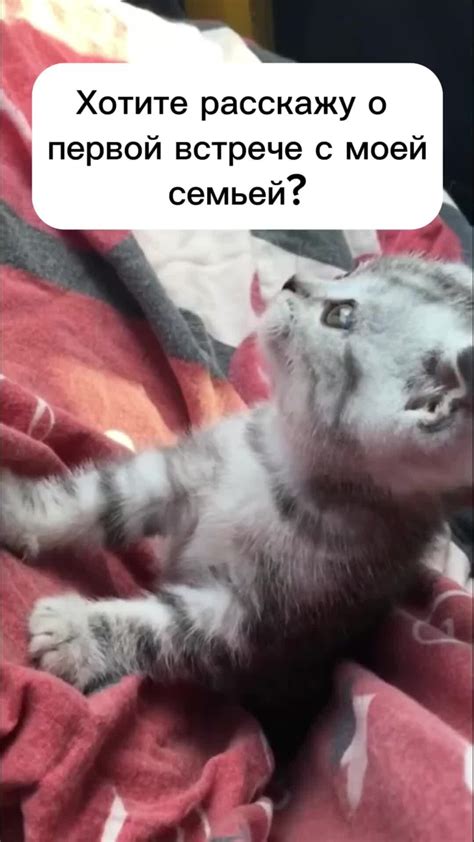 История о встрече возлюбленных