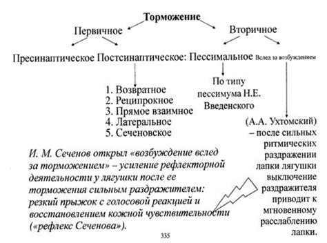 История первого механизма торможения в ЦНС