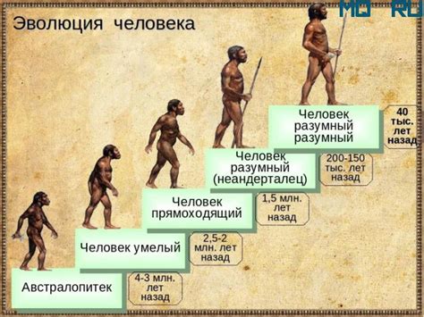 История появления первого человека