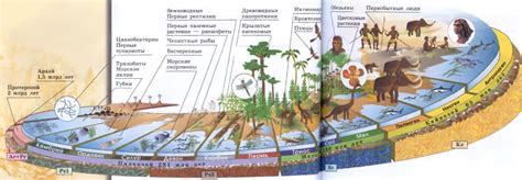 История появления первых живых организмов в катархее