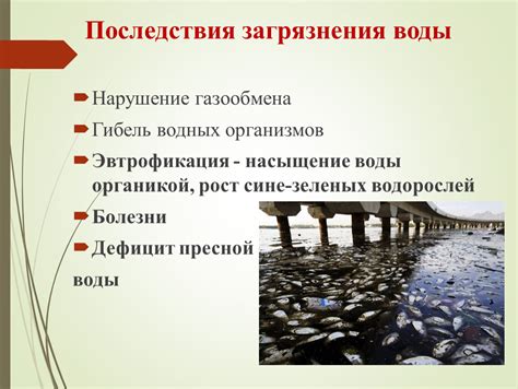 Исчезновение пресной воды: глобальные последствия