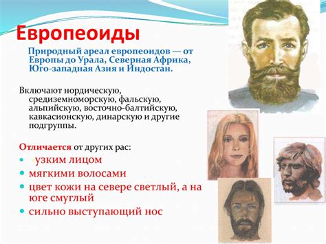 Их происхождение и родство