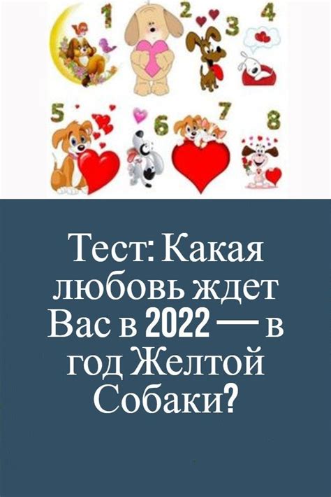 Какая любовь Сашку ждет: наслаждение и преграды