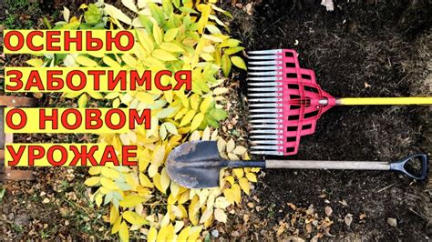 Какая погода считается оптимальной для работы на огороде