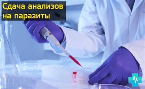 Какие анализы нужно пройти для обнаружения паразитов