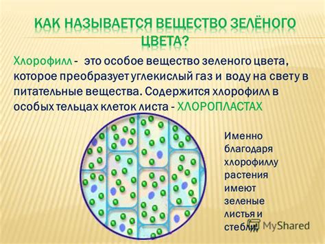 Какие вещества содержатся в контрастных веществах