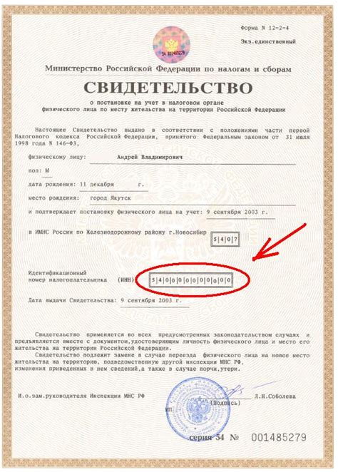 Какие документы необходимы для получения ИНН по паспорту